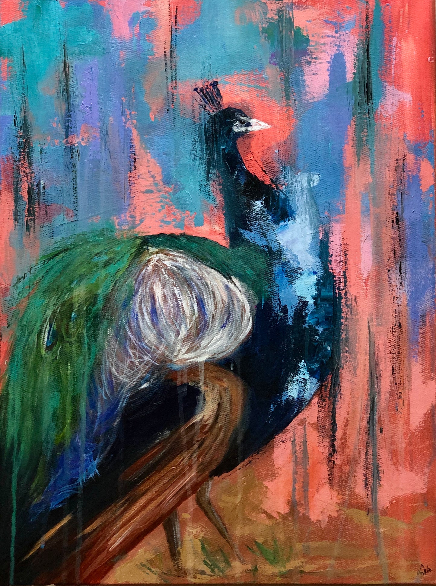 Deluged Peacock