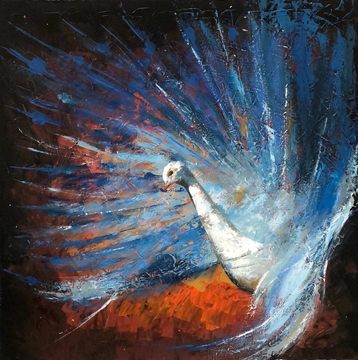 The White Peacock